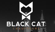 Black Cat Chauffeurs